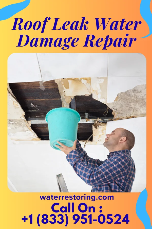 Roof Leak Water Damage Repair in Spray, OR